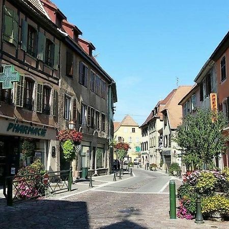 Studio L'Epicea Climatisation Sejour Parfait Soultz-Haut-Rhin Екстер'єр фото