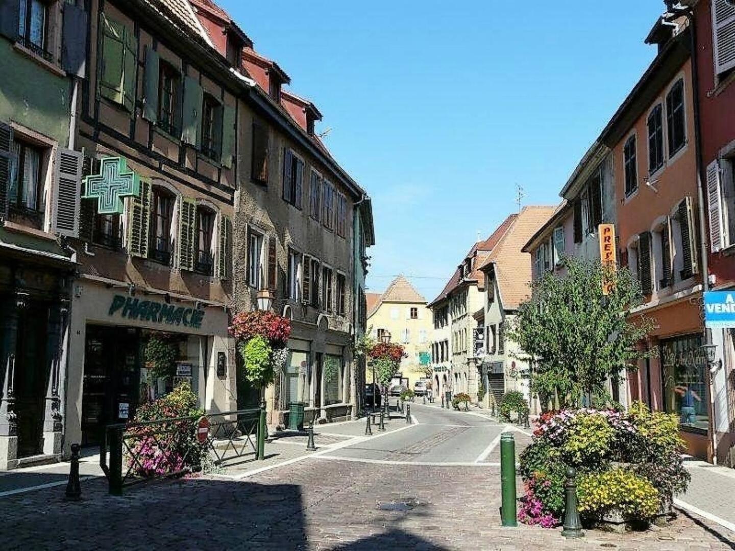 Studio L'Epicea Climatisation Sejour Parfait Soultz-Haut-Rhin Екстер'єр фото